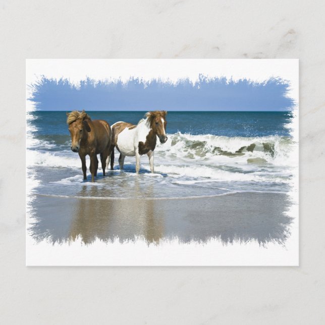 Carte postale Horse Beach (Devant)