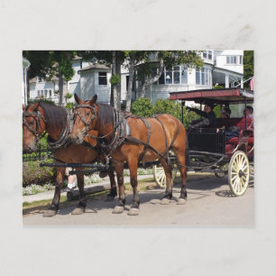 Carte Postale Horse & Carriage on Mackinac Island MI
