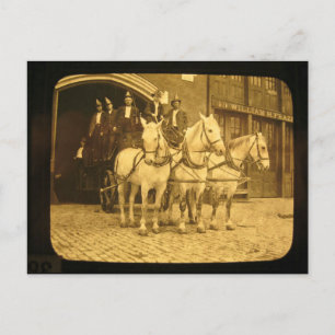 Carte Postale Horse Draok et Ladder Fire Company - Vintage