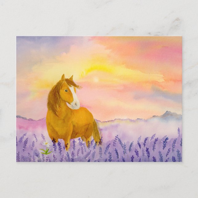 Carte Postale Horse in Lavender Field During Sunset  (Devant)