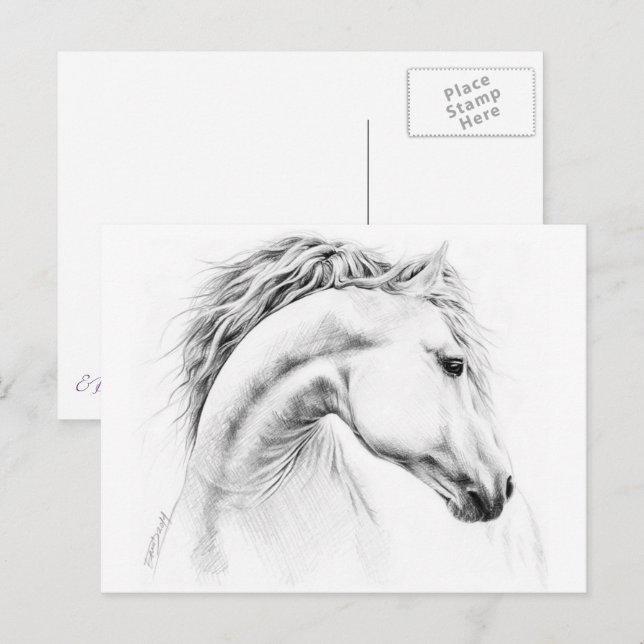 Carte Postale Horse portrait drawing equestrian art (Devant / Derrière)