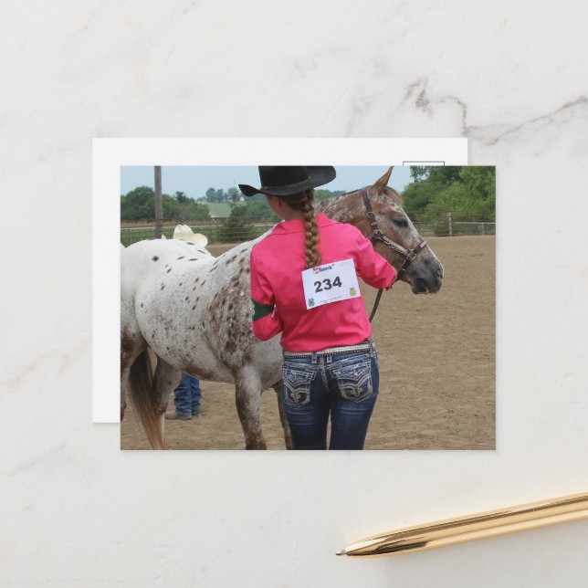 Carte Postale Horse Show Spotted Pony of America 234 (Devant/Arrière en situation)