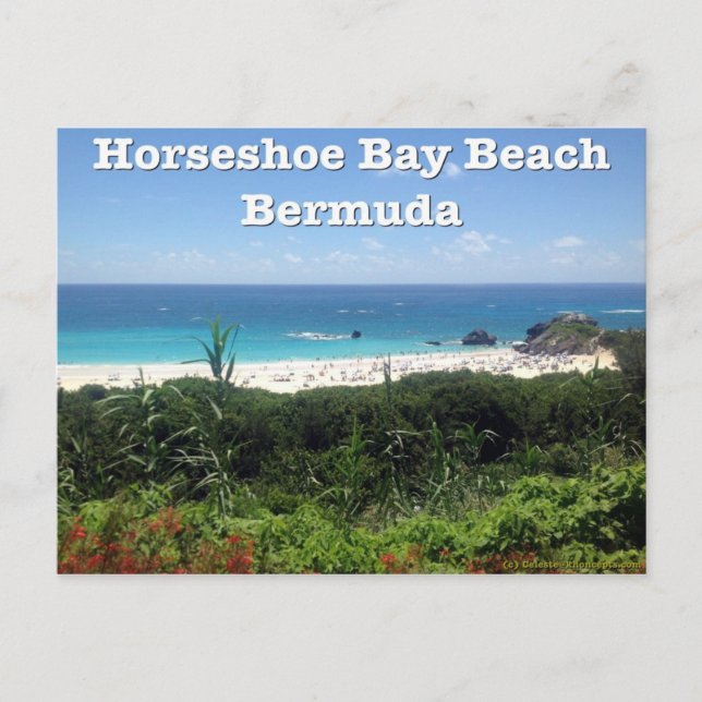 Carte Postale Horseshoe Bay Beach (Devant)