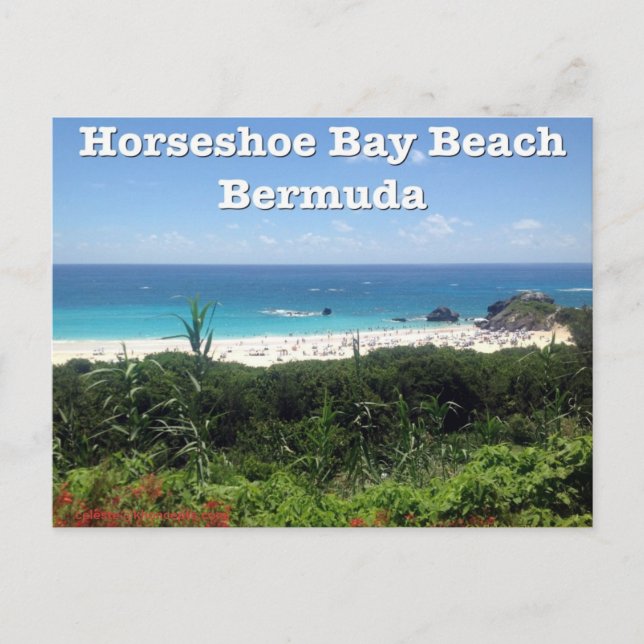 Carte Postale Horseshoe Bay Beach (Devant)