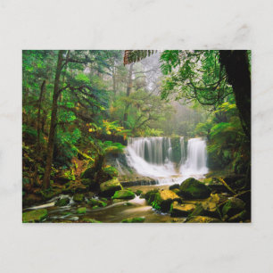 Carte Postale Horseshoe Falls Surrounded by Rainforest