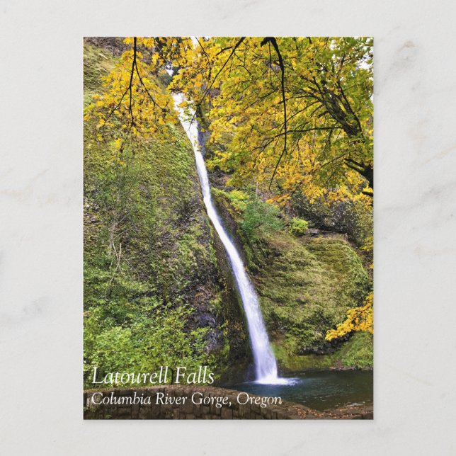 Carte Postale Horsetail Falls, Columbia River Gorge, Oregon Post (Devant)