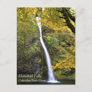 Carte Postale Horsetail Falls, Columbia River Gorge, Oregon Post