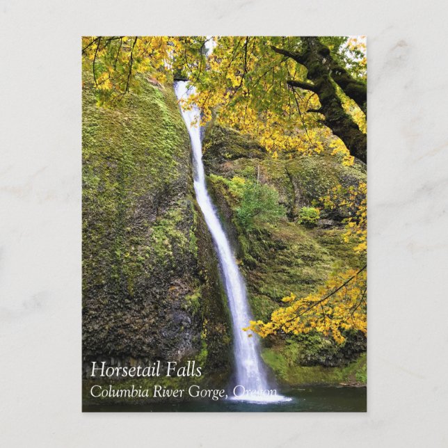 Carte Postale Horsetail Falls, Columbia River Gorge, Oregon Post (Devant)