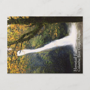Carte Postale Horsetail Falls, Oregon