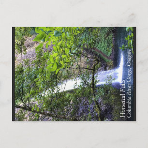 Carte Postale Horsetail Falls, Oregon