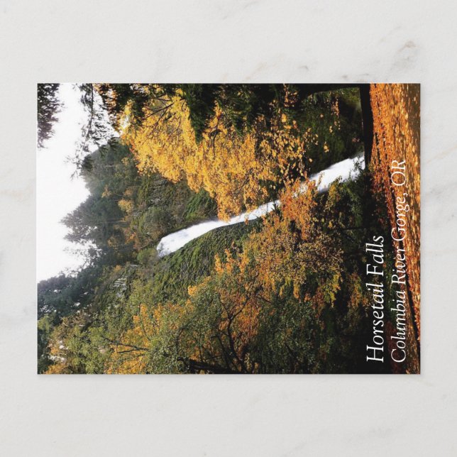 Carte Postale Horsetail Falls, Oregon (Devant)