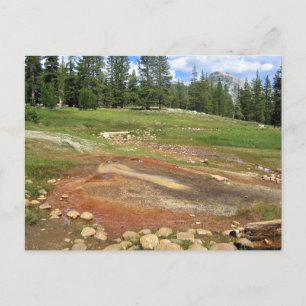 Carte Postale Hot Springs à Tuolumne Meadows, Yosemite, CA