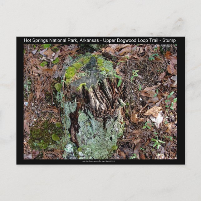 Carte Postale Hot Springs National Park, AR Upper Dogwood Loop (Devant)