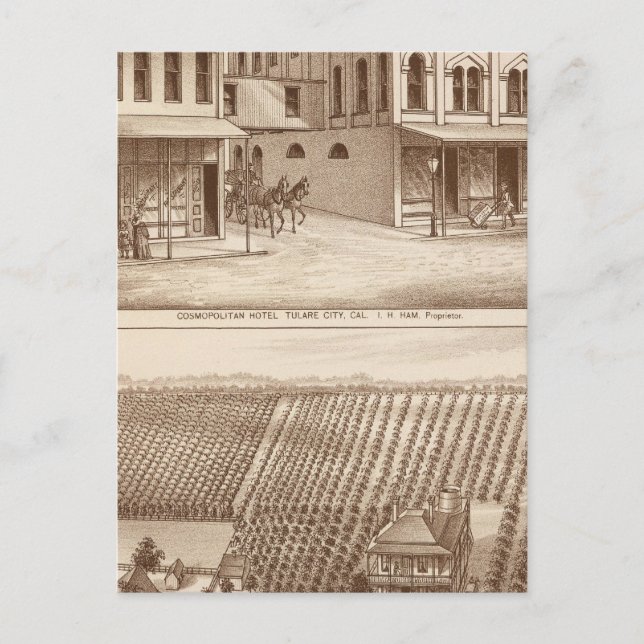 Carte Postale Hôtel, vignoble, Tulare (Devant)
