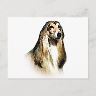 Carte Postale Hound afghan
