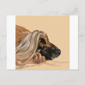 Carte Postale Hound afghan