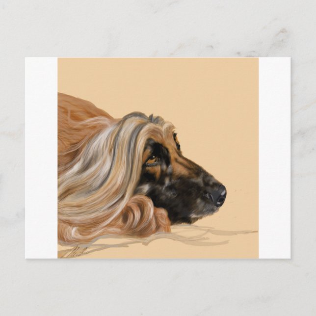 Carte Postale Hound afghan (Devant)