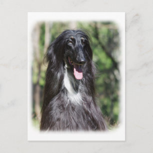 Carte Postale Hound afghan AA017D-119