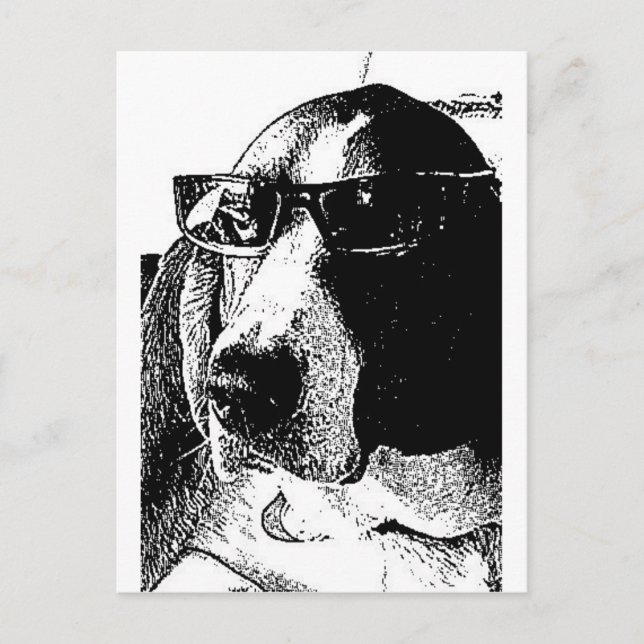 Carte Postale Hound basset RE-cool (Devant)