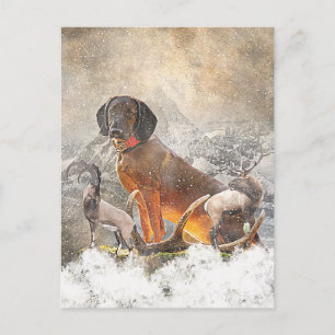 Carte Postale Hound de montagne bavarois, Art