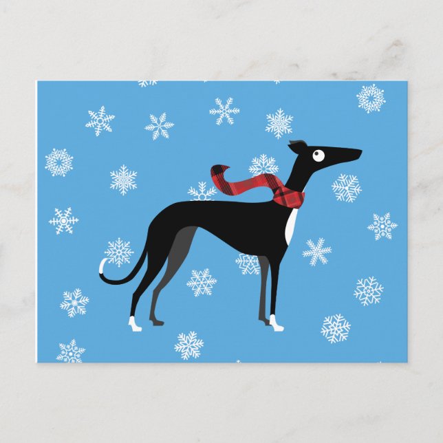 Carte Postale Hound neigeux (Devant)