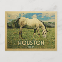 Houston Texas Horse Farm -Vintage voyage