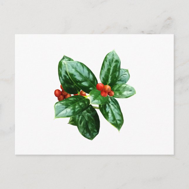 Carte Postale Houx avec baies (Devant)