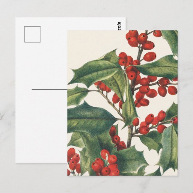 Carte Postale Houx de Noël Classique avec Baies Rouges Art (Devant / Derrière)
