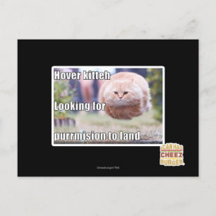 Carte Postale Hover kitteh