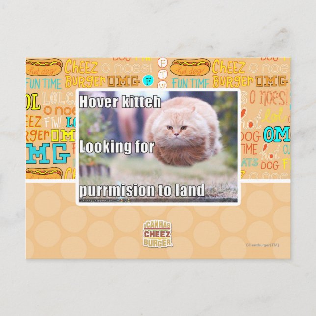 Carte Postale Hover kitteh (Devant)