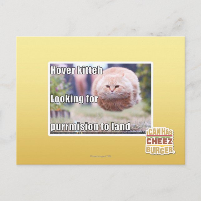 Carte Postale Hover kitteh (Devant)