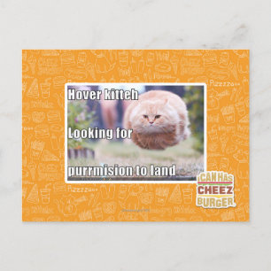 Carte Postale Hover kitteh