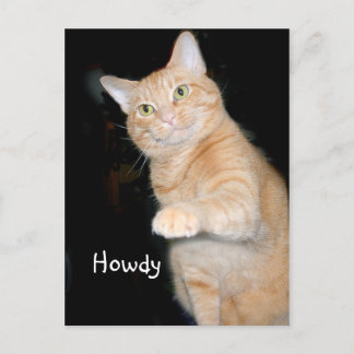 Carte Postale Howdy