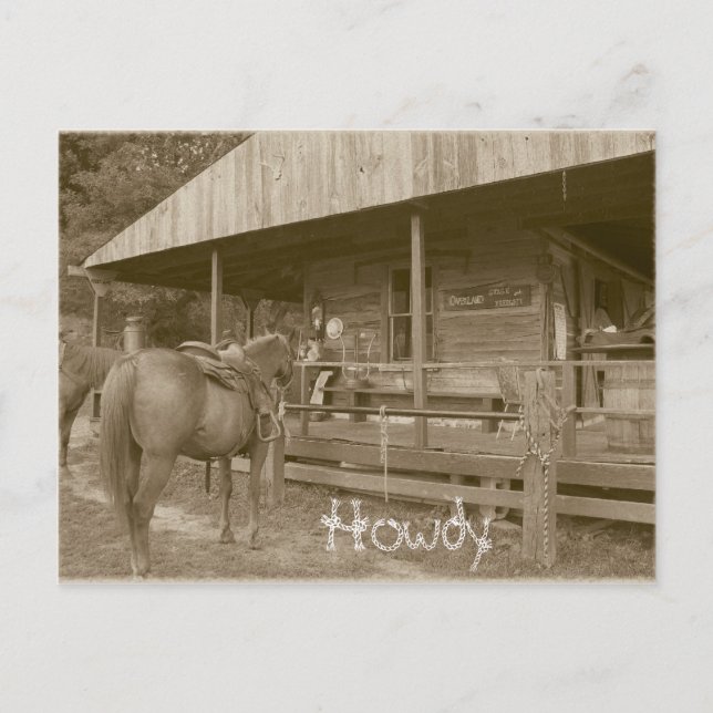 Carte Postale Howdy (Devant)