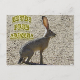 Carte Postale Howdy De Arizona
