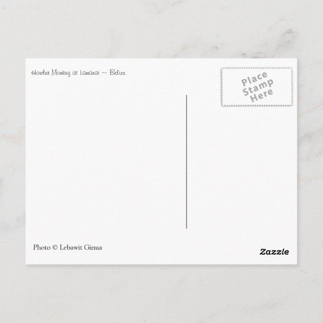 Carte Postale Howler Monkey, Belize (Dos)