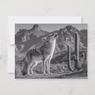 Carte Postale Howling Coyote dans le paysage désertique