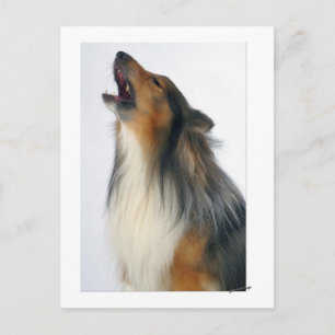 Carte Postale Howling dog