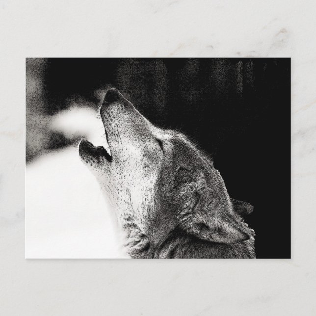 Carte Postale Howling Wolf (Devant)