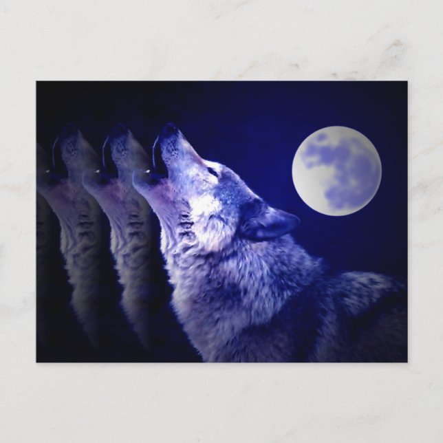 Carte Postale Howling Wolf (Devant)