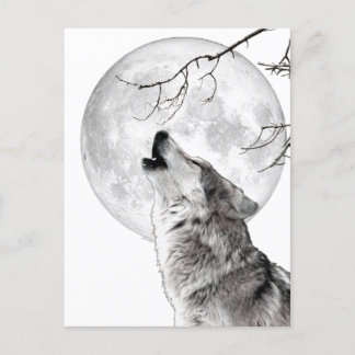 Carte Postale Howling Wolf, Moon, Gothic, Nature