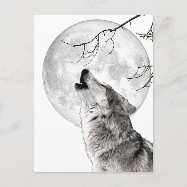 Carte Postale Howling Wolf, Moon, Gothic, Nature (Devant)