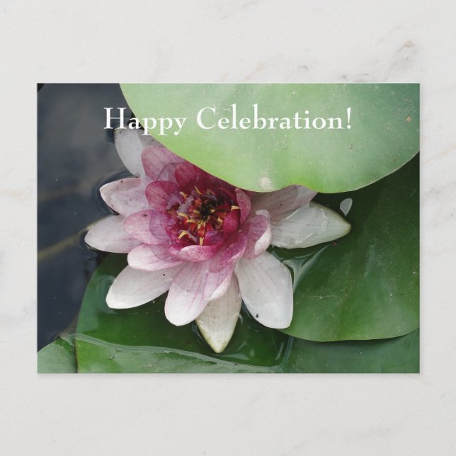 Carte Postale Hppy Celebration Custom Occasions Floral Postcard (Devant)