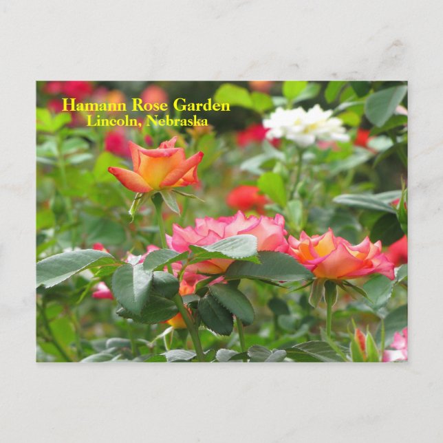 Carte postale HRG #300n 0300 (Devant)