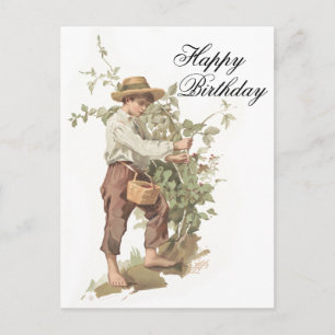 Carte Postale Huckleberry Finn cueillir des baies Anniversaire