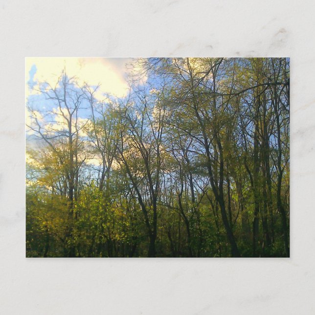 Carte Postale Hudson Vally, NY (Devant)