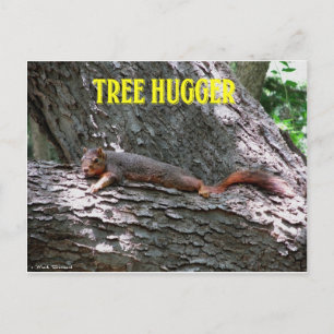 Carte Postale Hugger d'arbre !