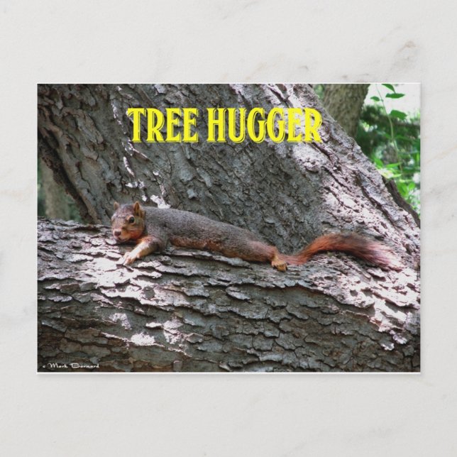 Carte Postale Hugger d'arbre ! (Devant)