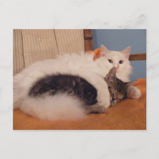Carte postale HugZ