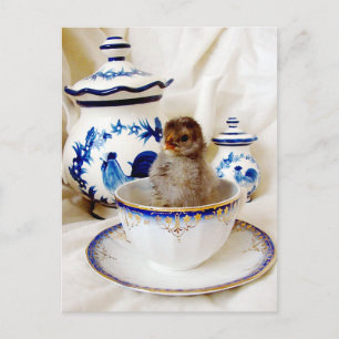 Carte Postale Huile Paint Effet Chick et Tea Cup en Studio